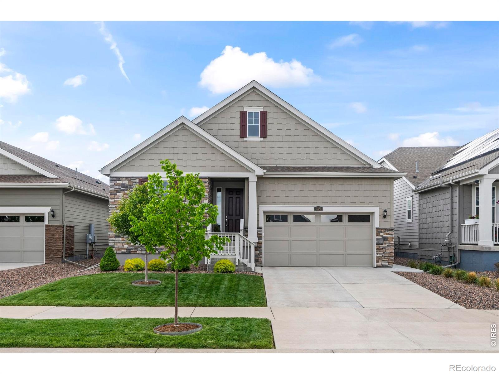 MLS Image #2 for 2381  provenance street,longmont, Colorado