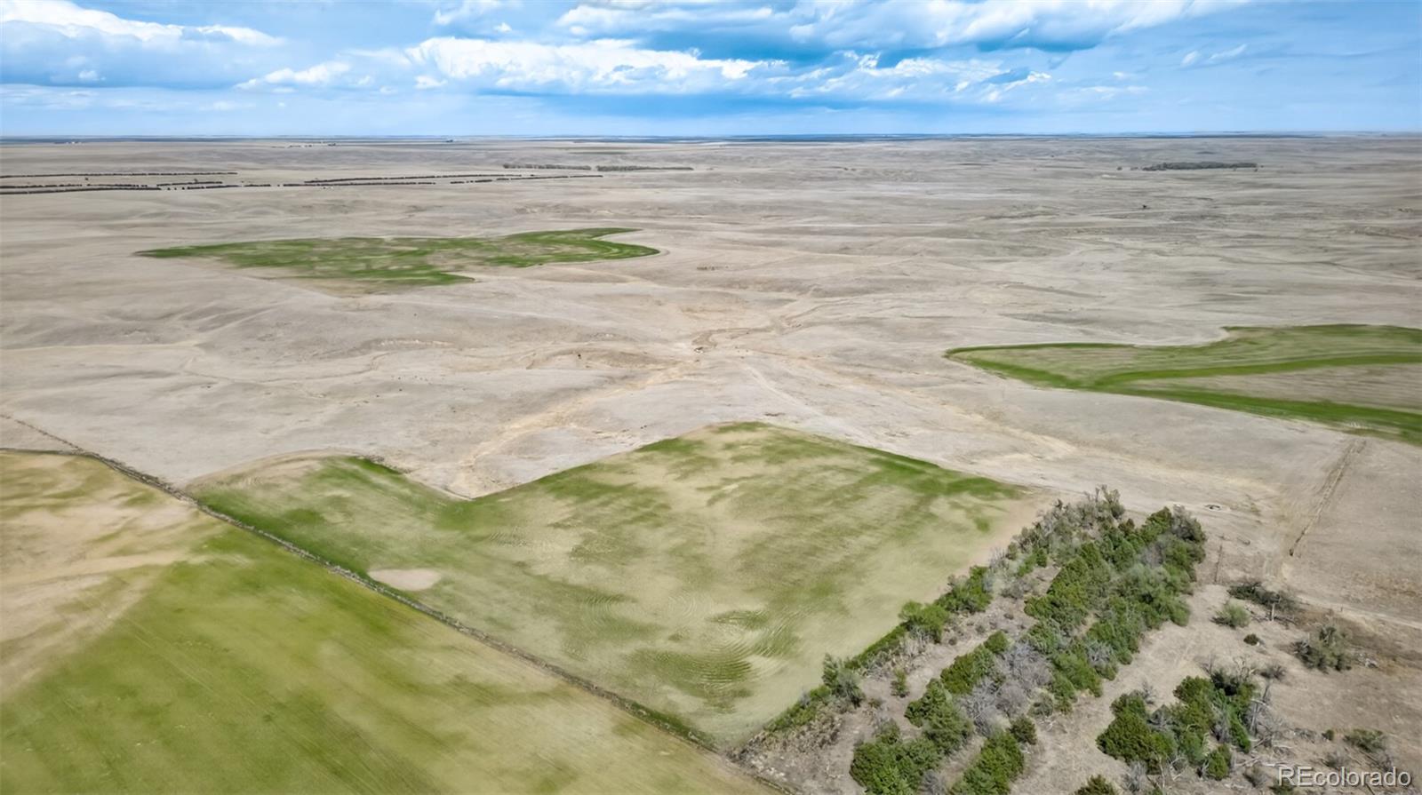 MLS Image #13 for 42599  county road 76 ,crook, Colorado