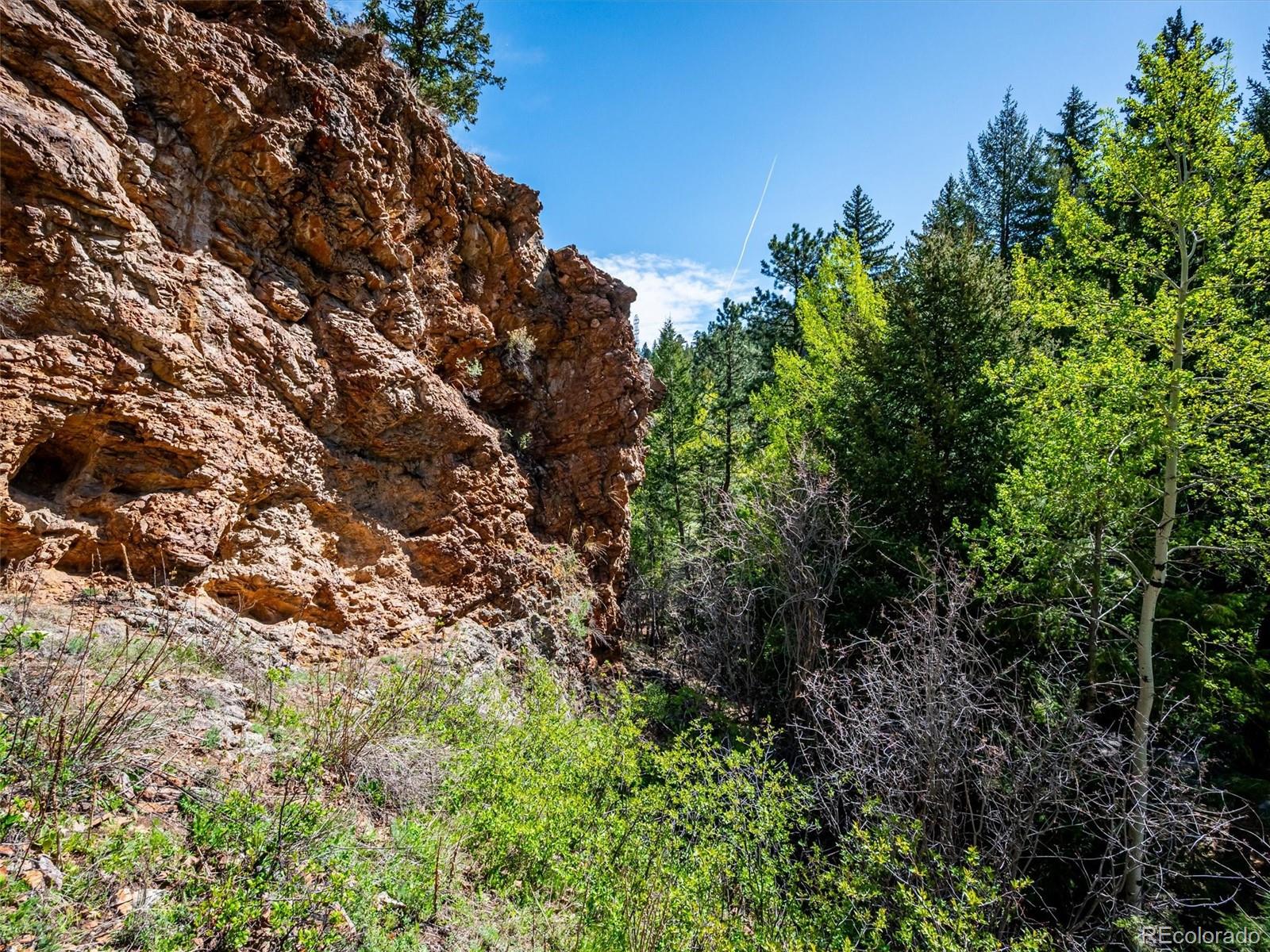 MLS Image #28 for 164  fawn creek lane,evergreen, Colorado