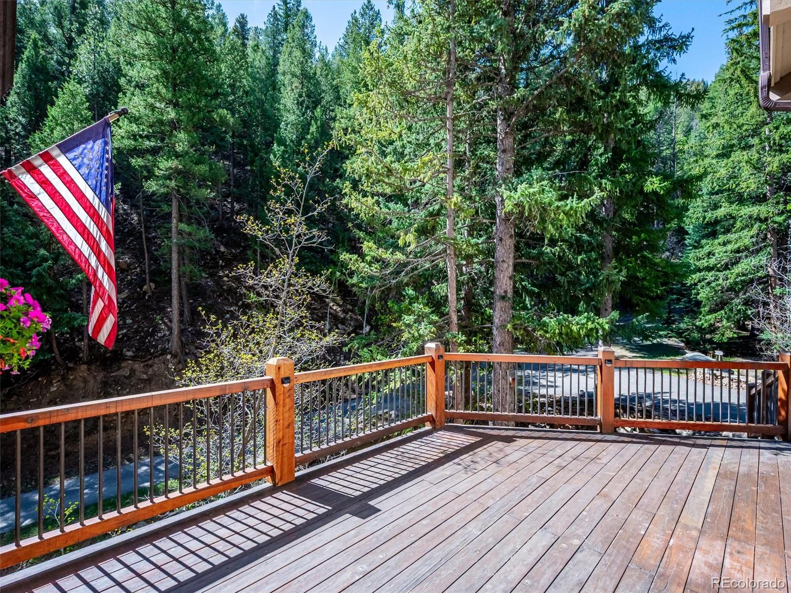 MLS Image #6 for 164  fawn creek lane,evergreen, Colorado
