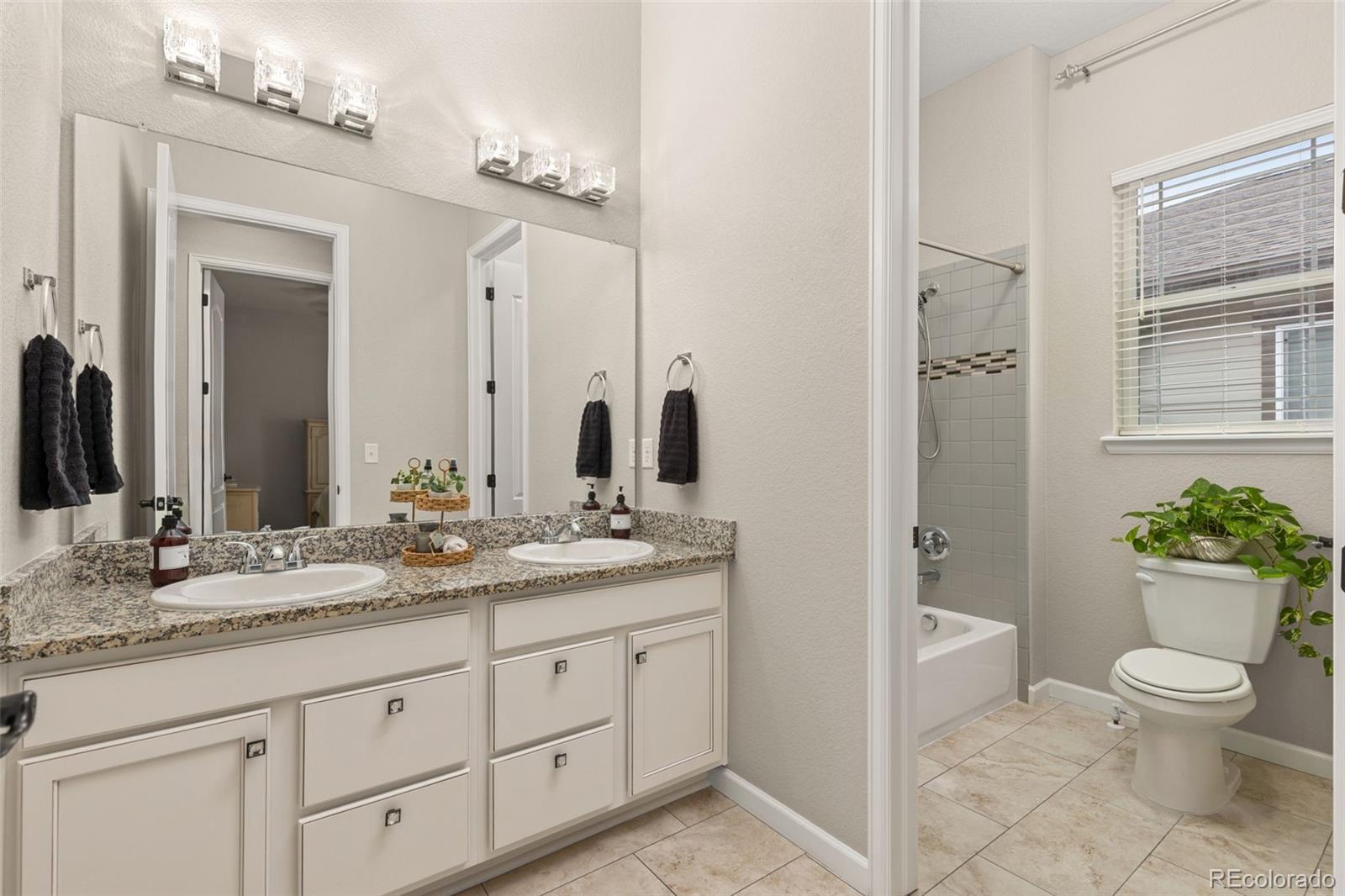 MLS Image #16 for 26743 e peakview place,aurora, Colorado