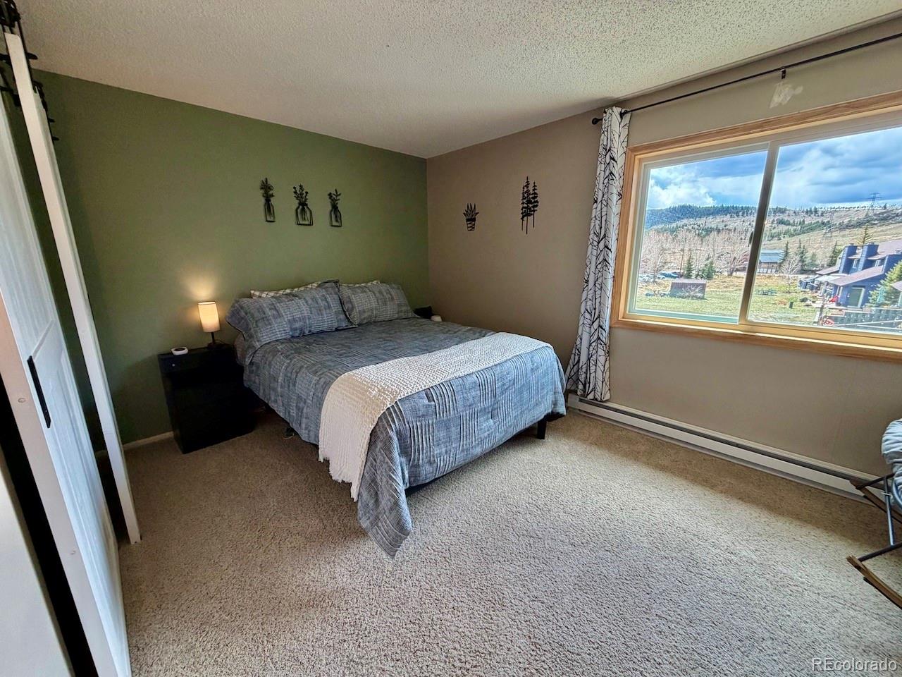 MLS Image #22 for 258  cove boulevard,dillon, Colorado
