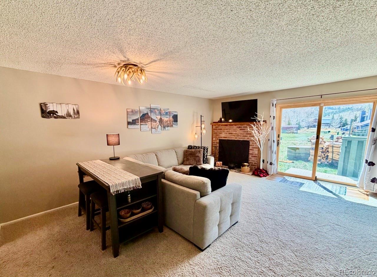 MLS Image #4 for 258  cove boulevard,dillon, Colorado