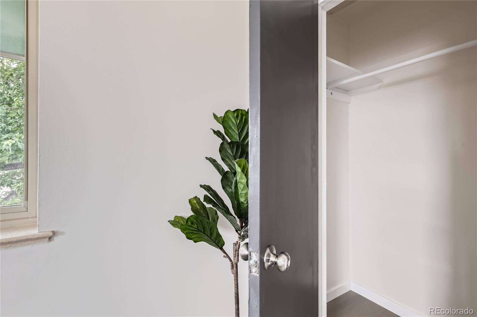 MLS Image #8 for 2100 n franklin street,denver, Colorado