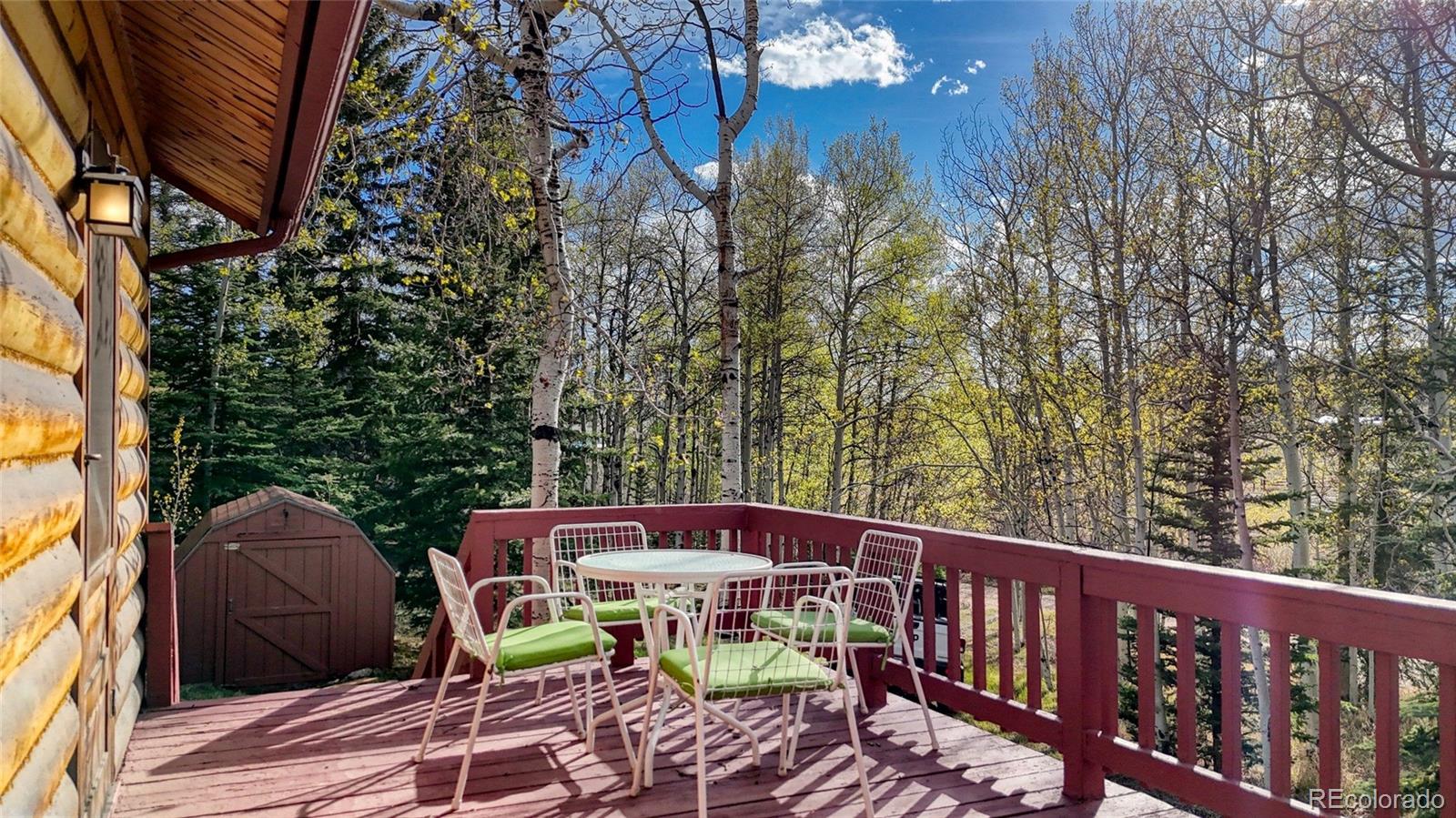MLS Image #10 for 128  brook drive,lake george, Colorado