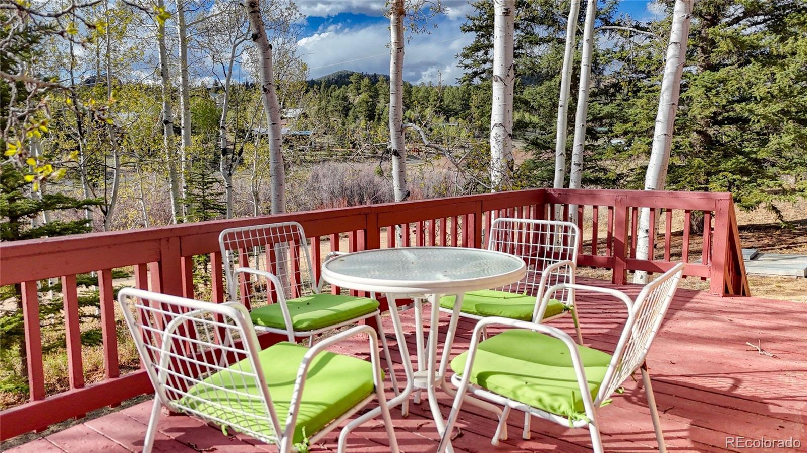 MLS Image #11 for 128  brook drive,lake george, Colorado