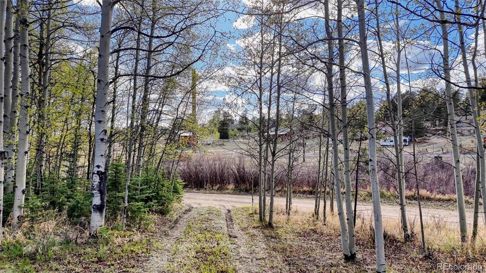 MLS Image #12 for 128  brook drive,lake george, Colorado