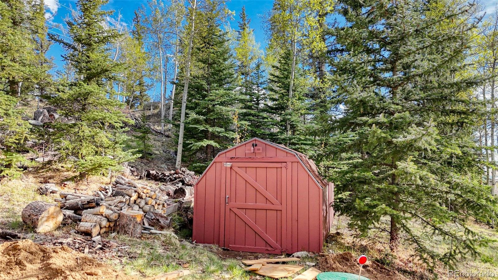 MLS Image #2 for 128  brook drive,lake george, Colorado