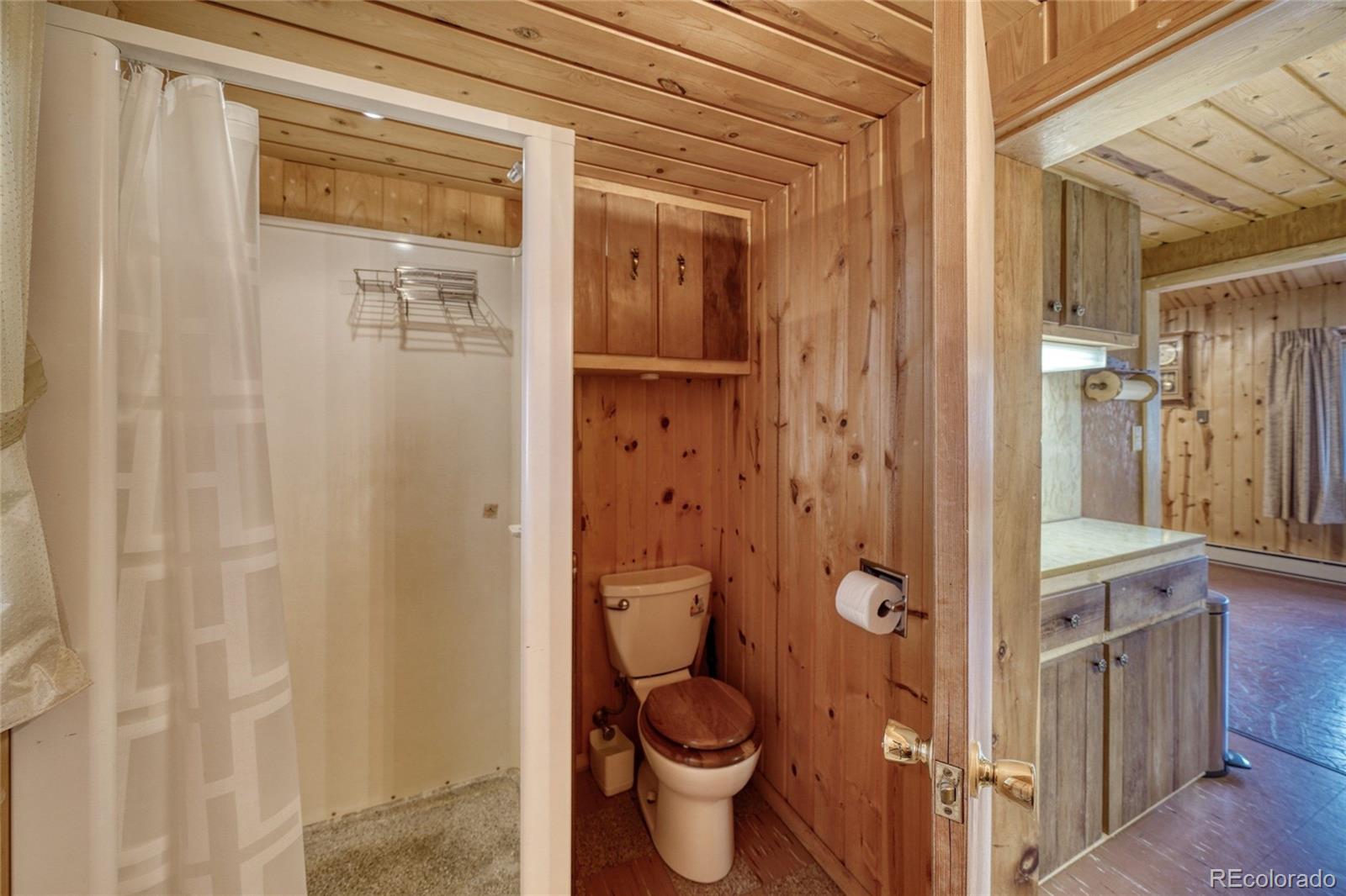 MLS Image #32 for 128  brook drive,lake george, Colorado