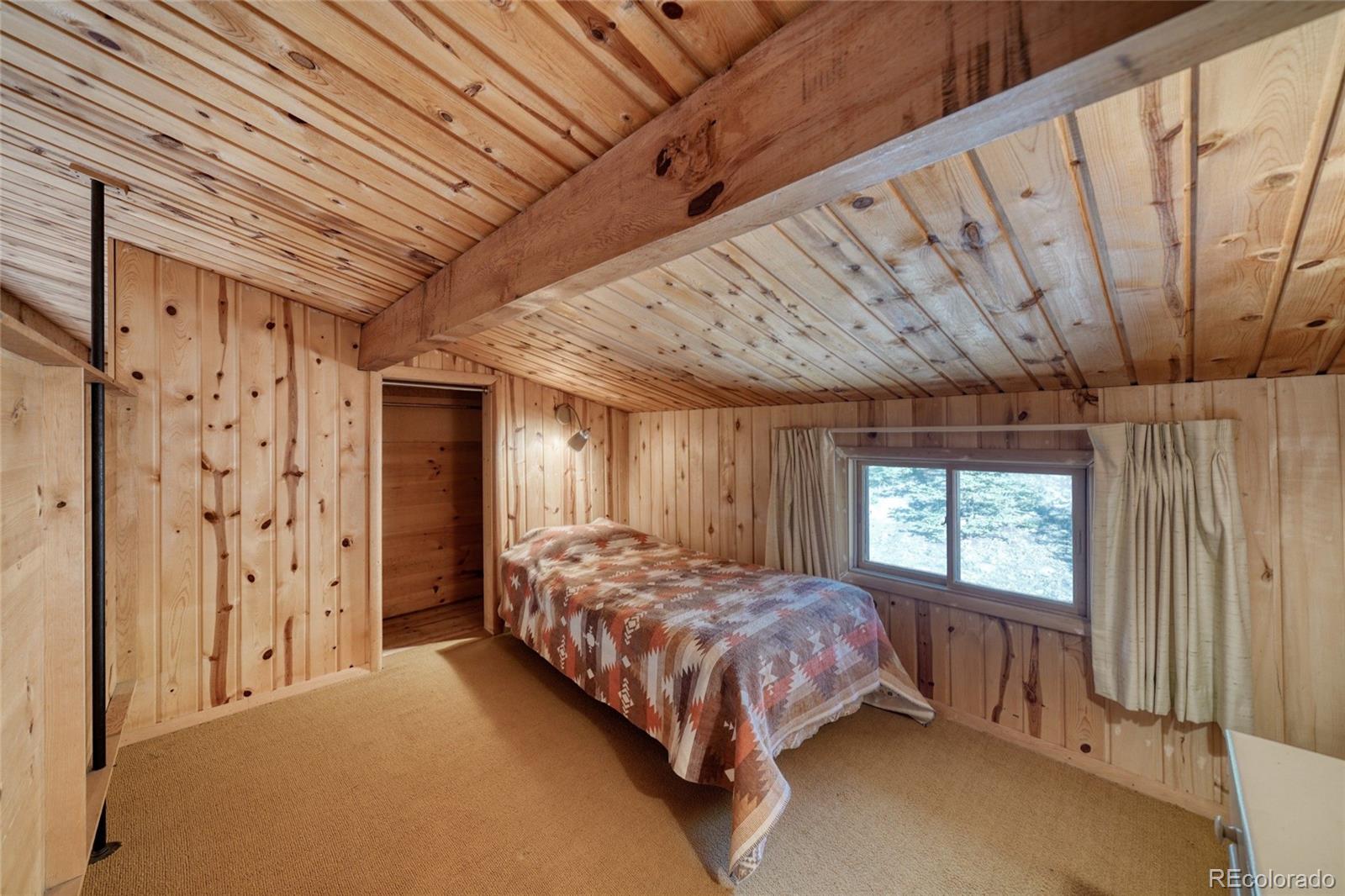 MLS Image #36 for 128  brook drive,lake george, Colorado