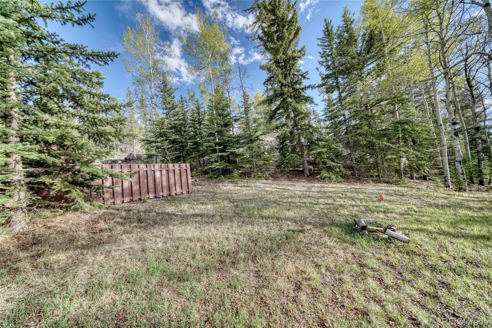 MLS Image #40 for 128  brook drive,lake george, Colorado