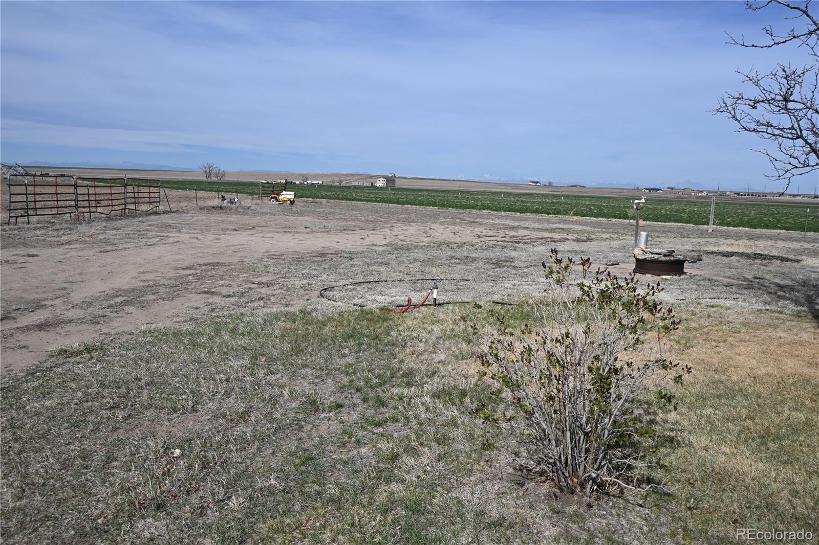 MLS Image #4 for 13675  lanewood ,brighton, Colorado