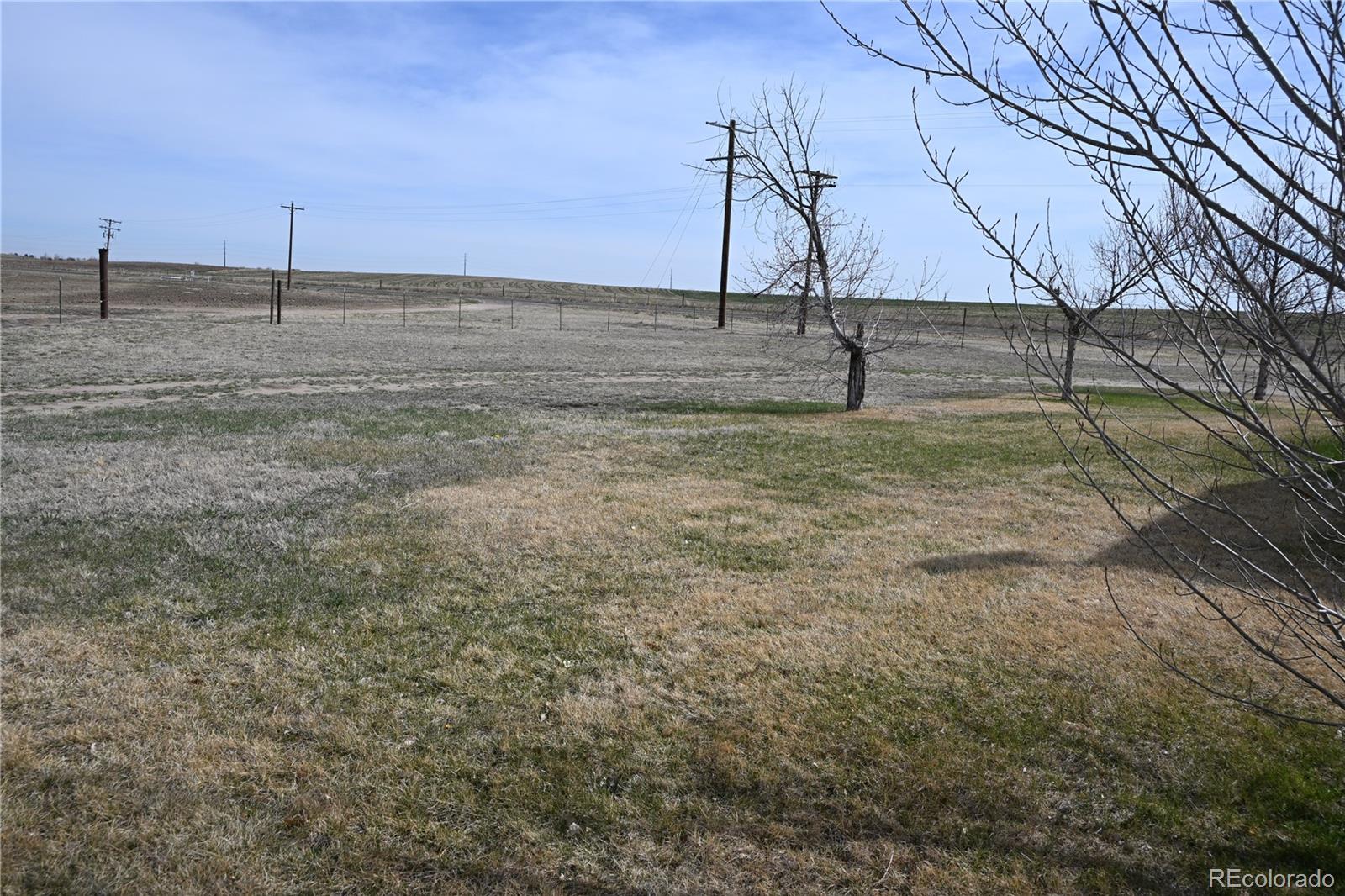 MLS Image #5 for 13675  lanewood ,brighton, Colorado