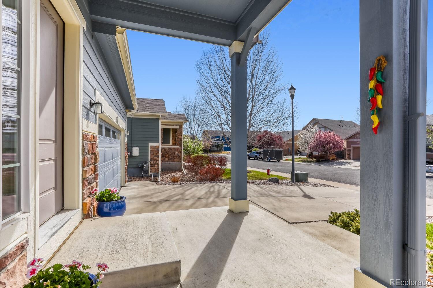 MLS Image #3 for 2116  addie rose lane,longmont, Colorado