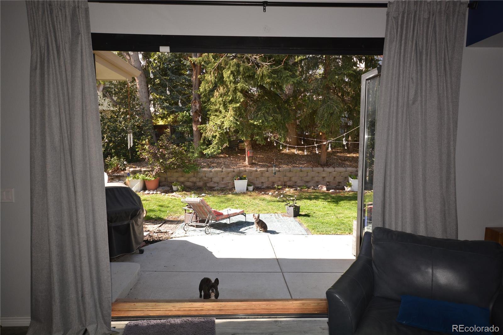 MLS Image #8 for 768  huntington place,highlands ranch, Colorado