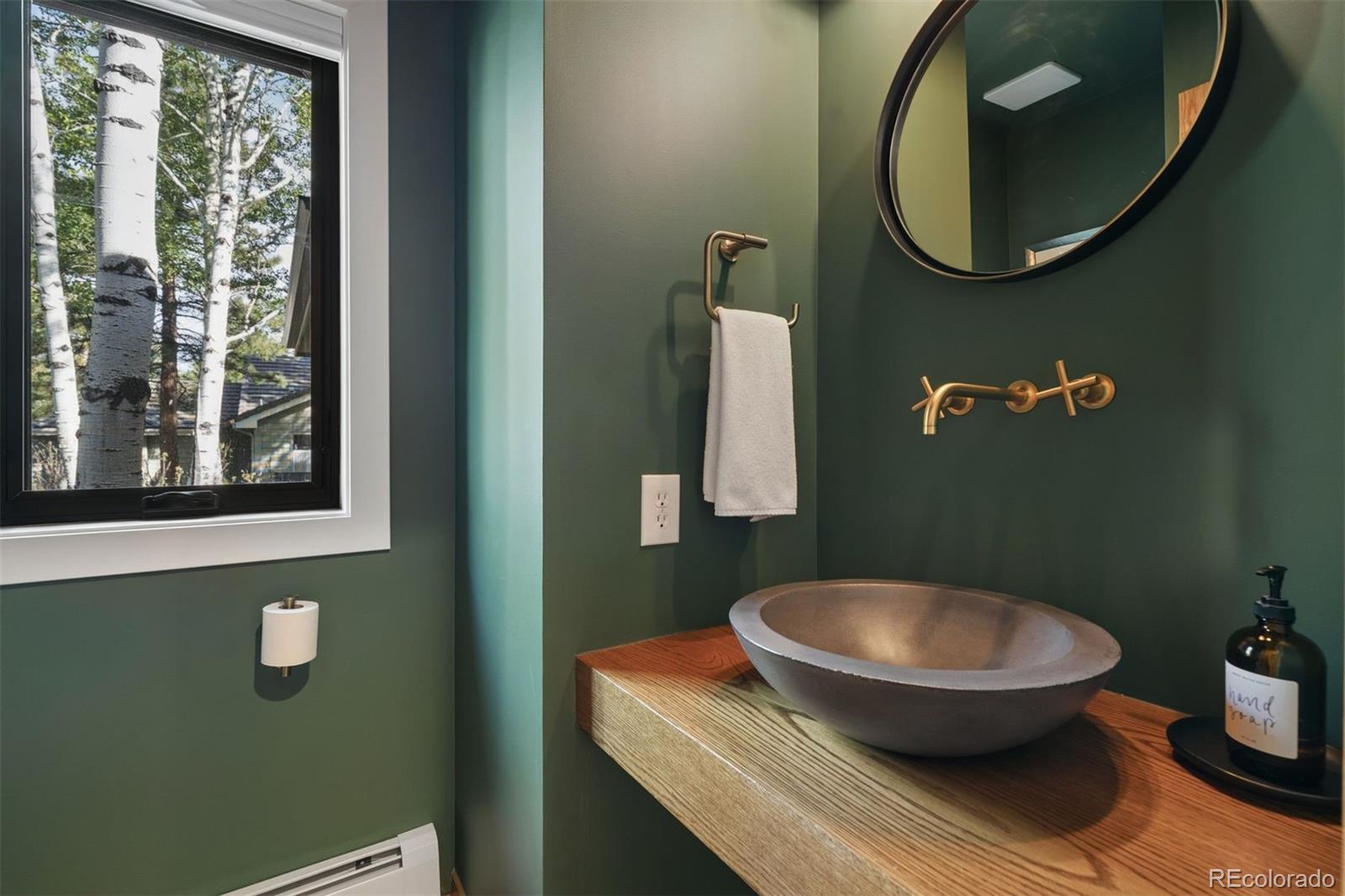 MLS Image #21 for 31628  gallery lane,evergreen, Colorado