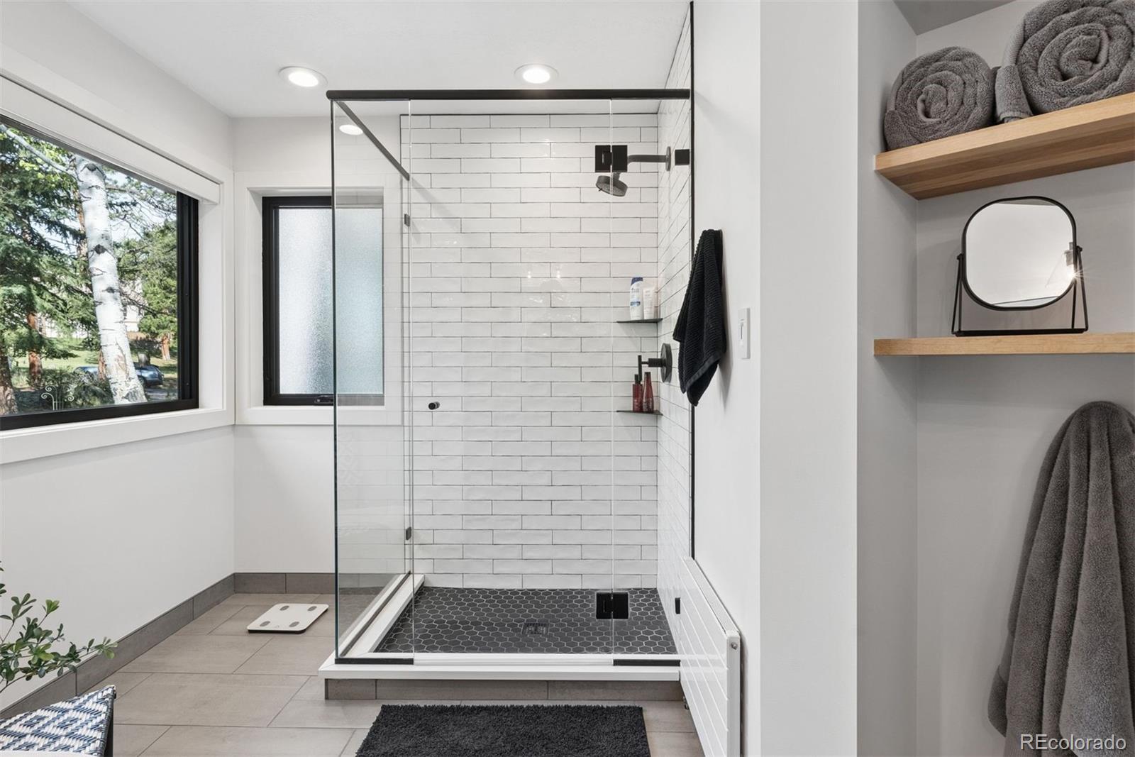 MLS Image #26 for 31628  gallery lane,evergreen, Colorado