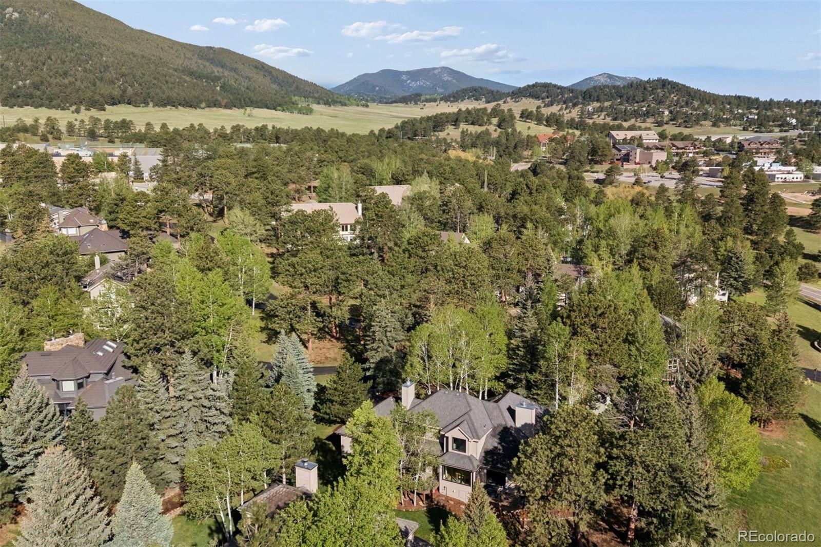 MLS Image #49 for 31628  gallery lane,evergreen, Colorado