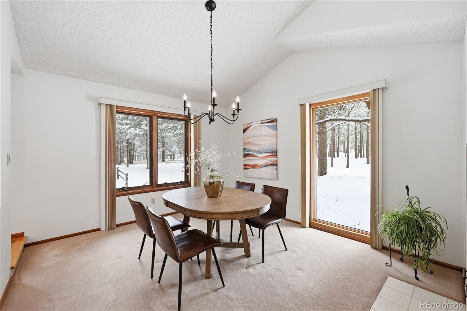 MLS Image #18 for 18475  lake drive,monument, Colorado