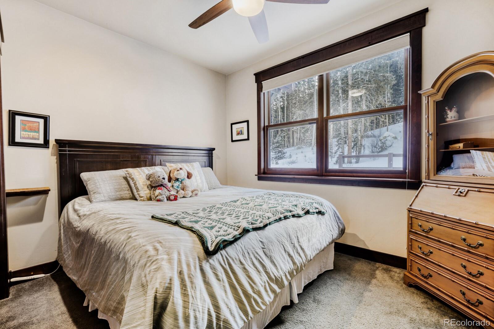 MLS Image #23 for 852  independence road,dillon, Colorado