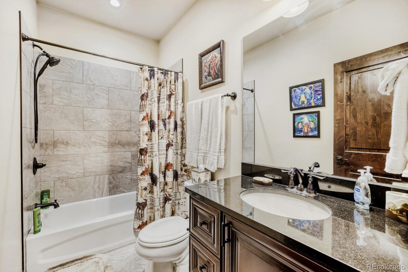 MLS Image #4 for 852  independence road,dillon, Colorado