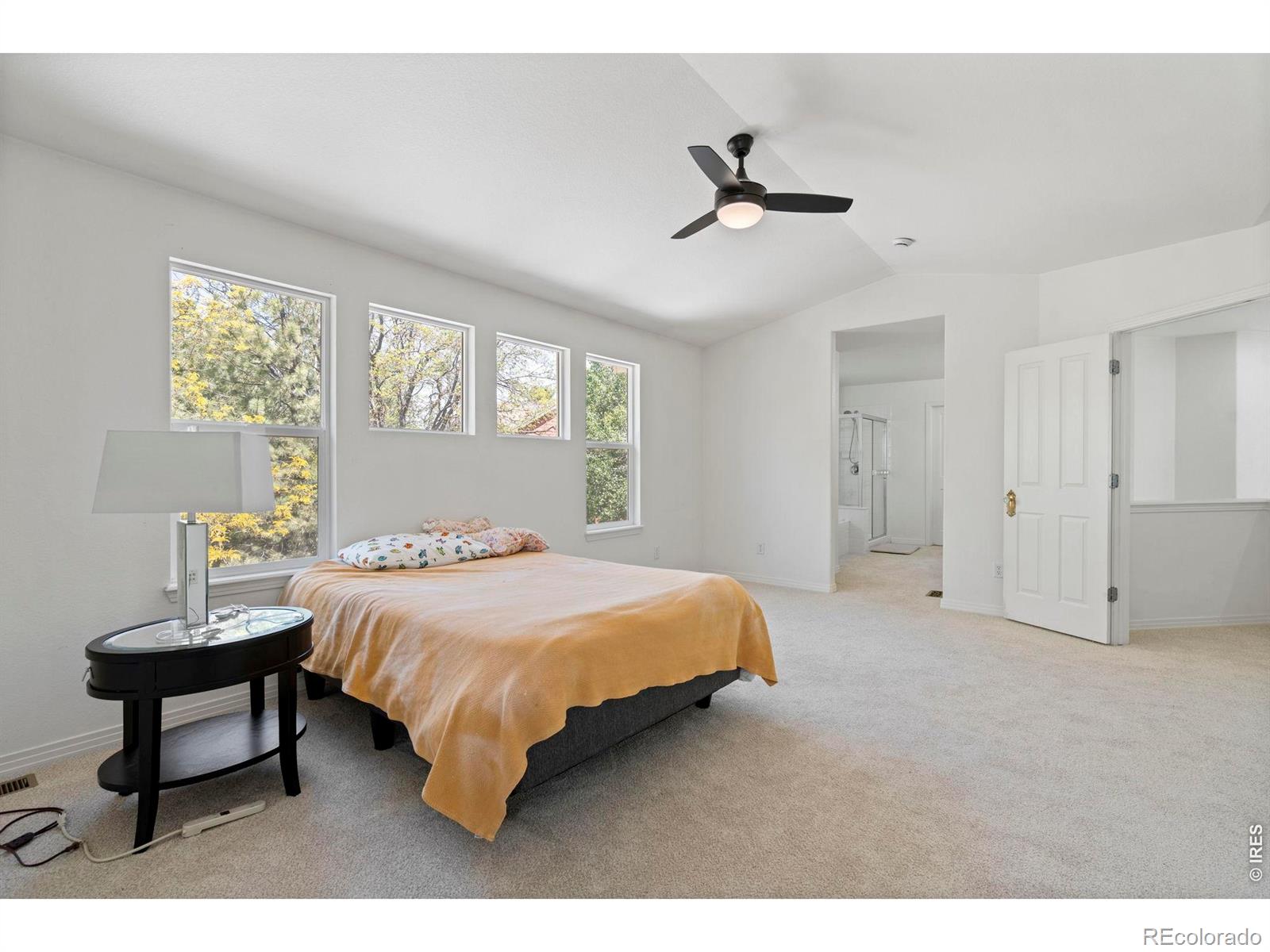 MLS Image #20 for 1526  prairie song place,longmont, Colorado