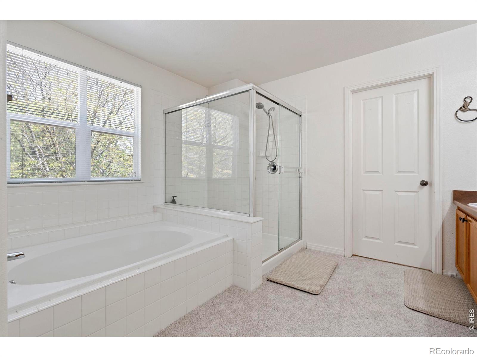 MLS Image #26 for 1526  prairie song place,longmont, Colorado