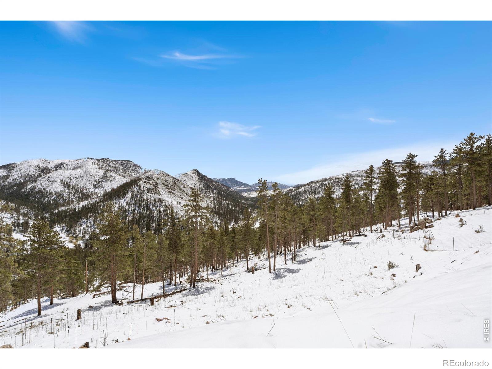 MLS Image #41 for 1154  redstone drive,bellvue, Colorado