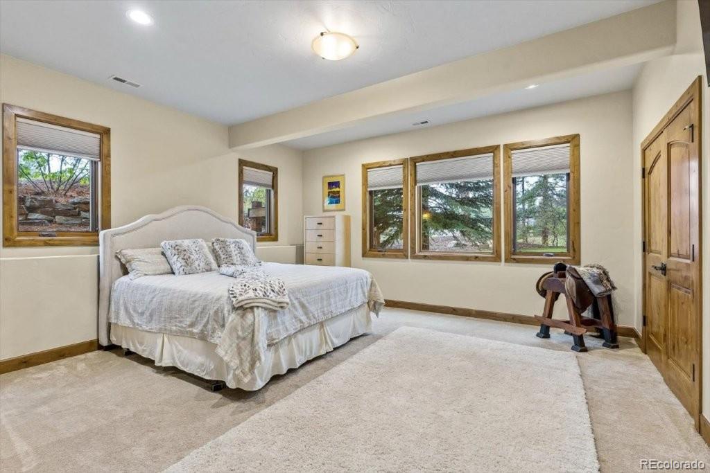 MLS Image #35 for 2573  oak vista court,castle rock, Colorado