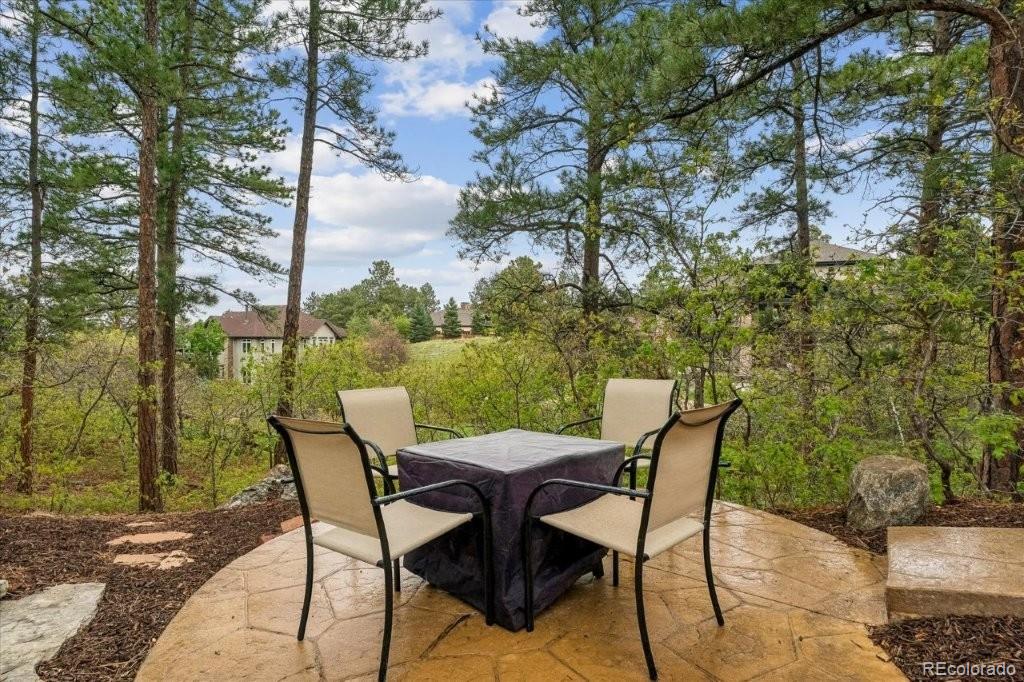 MLS Image #42 for 2573  oak vista court,castle rock, Colorado
