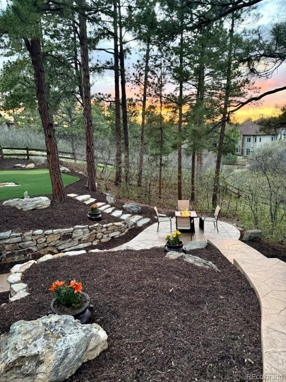 MLS Image #43 for 2573  oak vista court,castle rock, Colorado