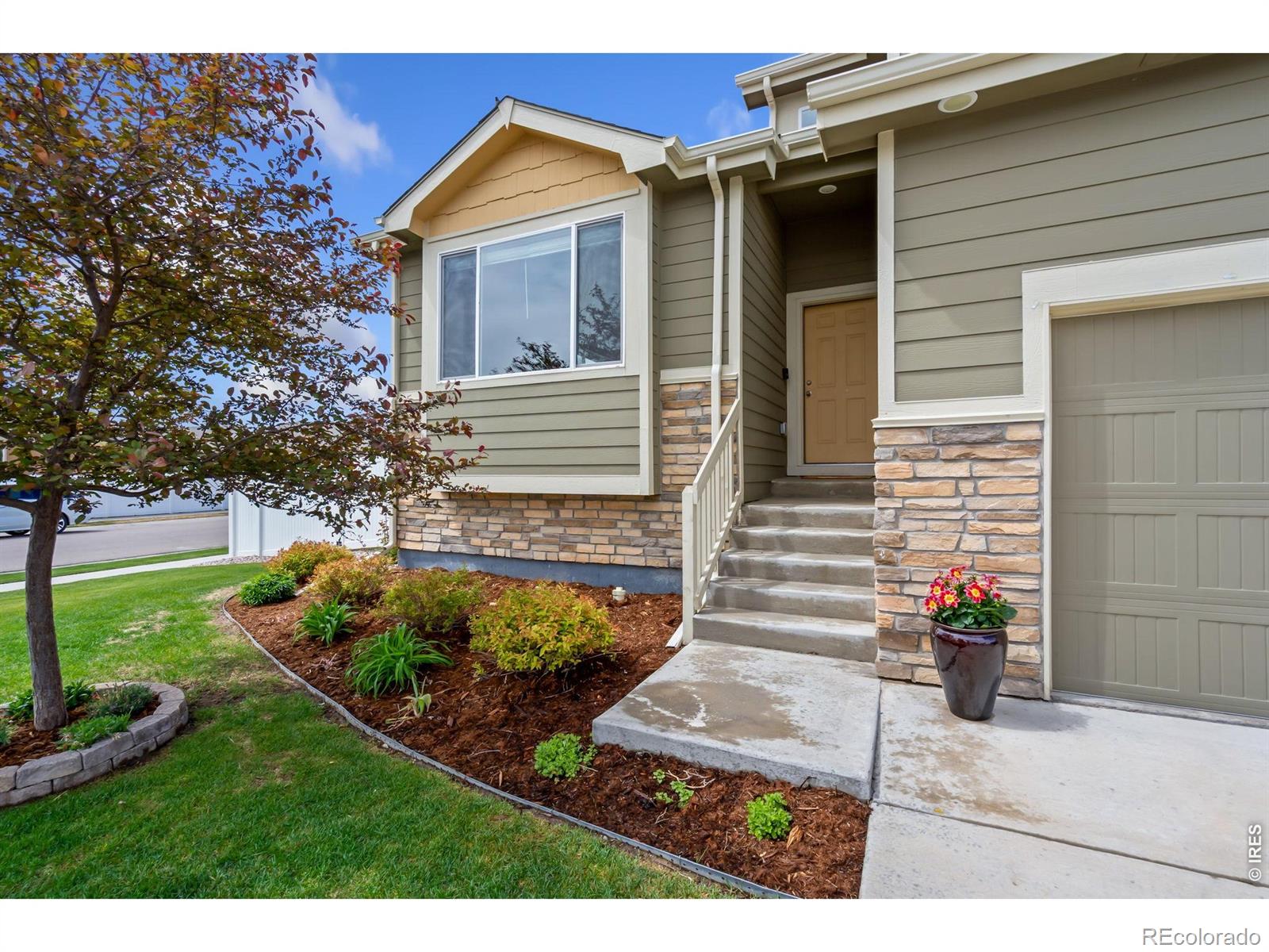 MLS Image #1 for 809  sambar drive,severance, Colorado