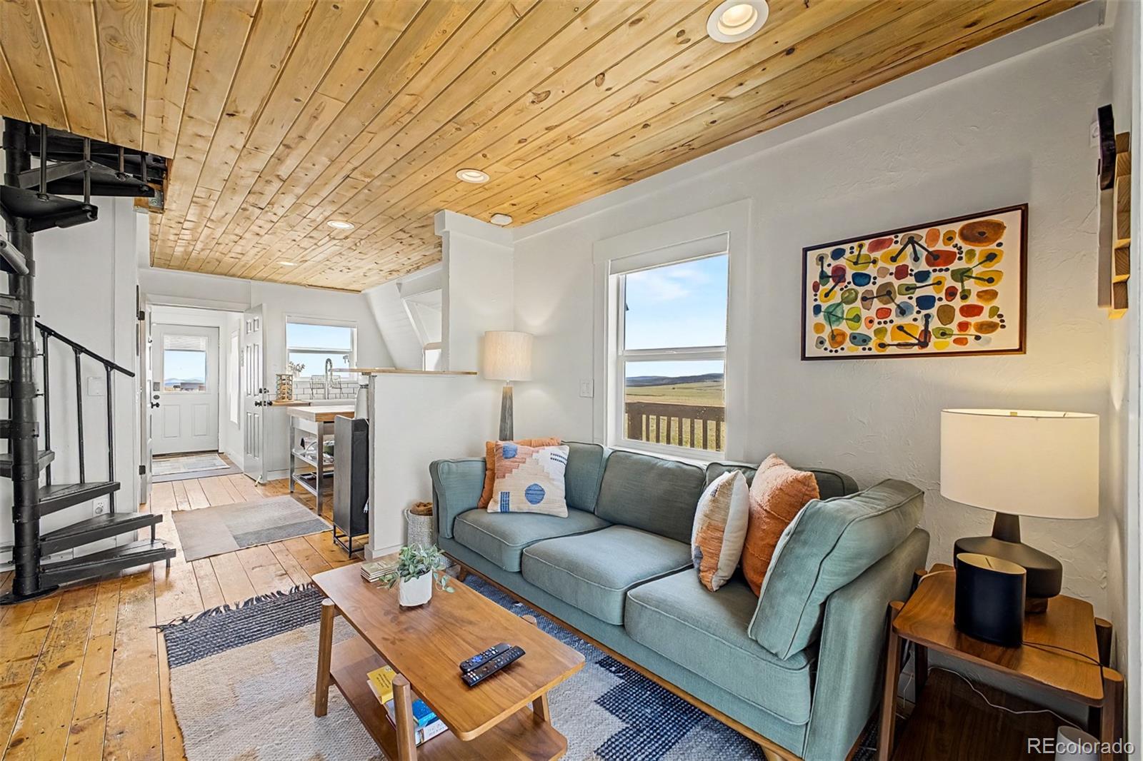 MLS Image #7 for 1365  kokanee road,fairplay, Colorado