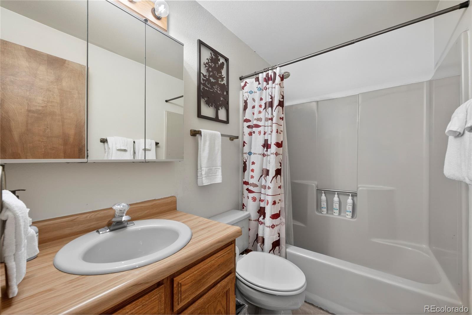 MLS Image #12 for 59  river drive,winter park, Colorado
