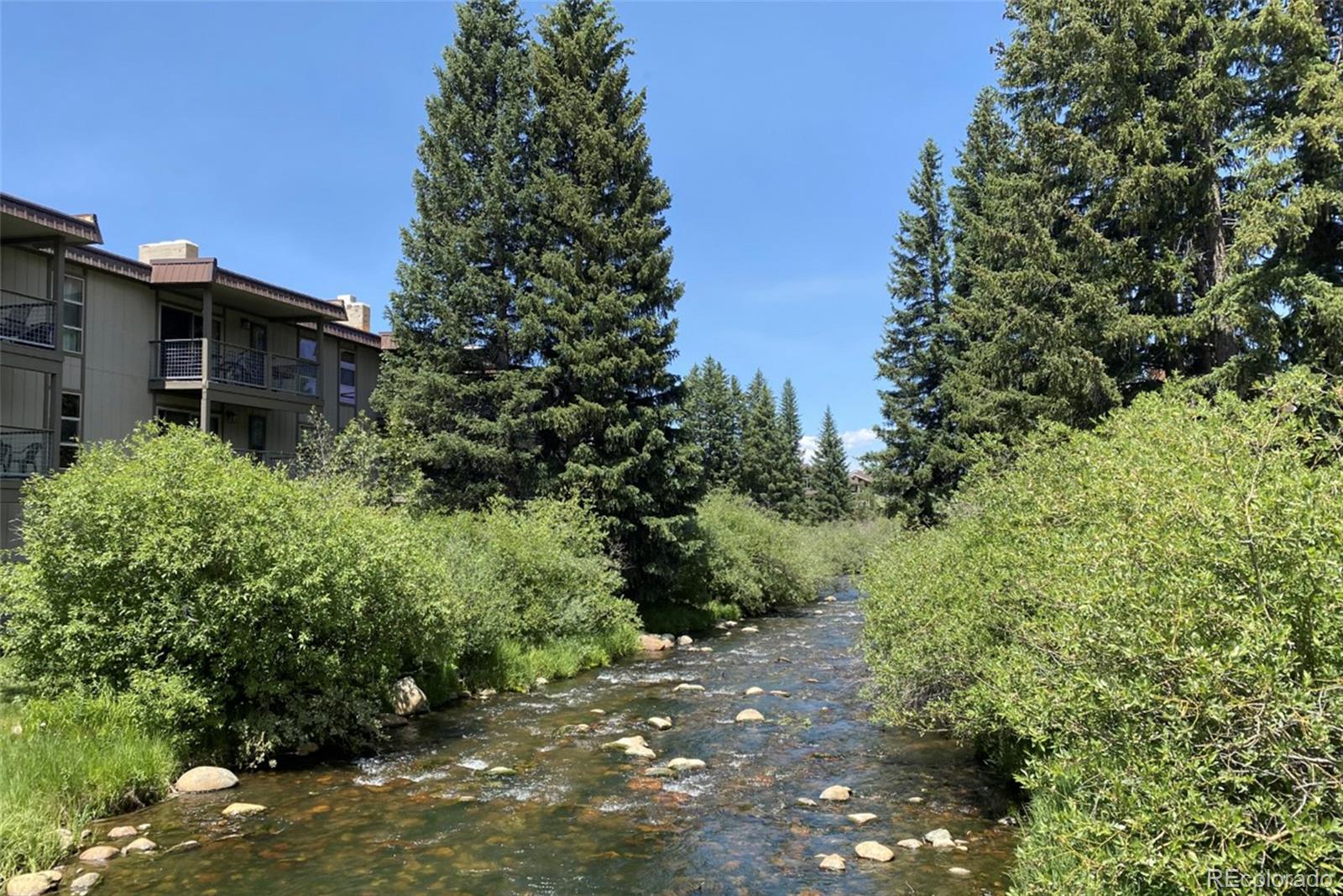 MLS Image #38 for 59  river drive,winter park, Colorado