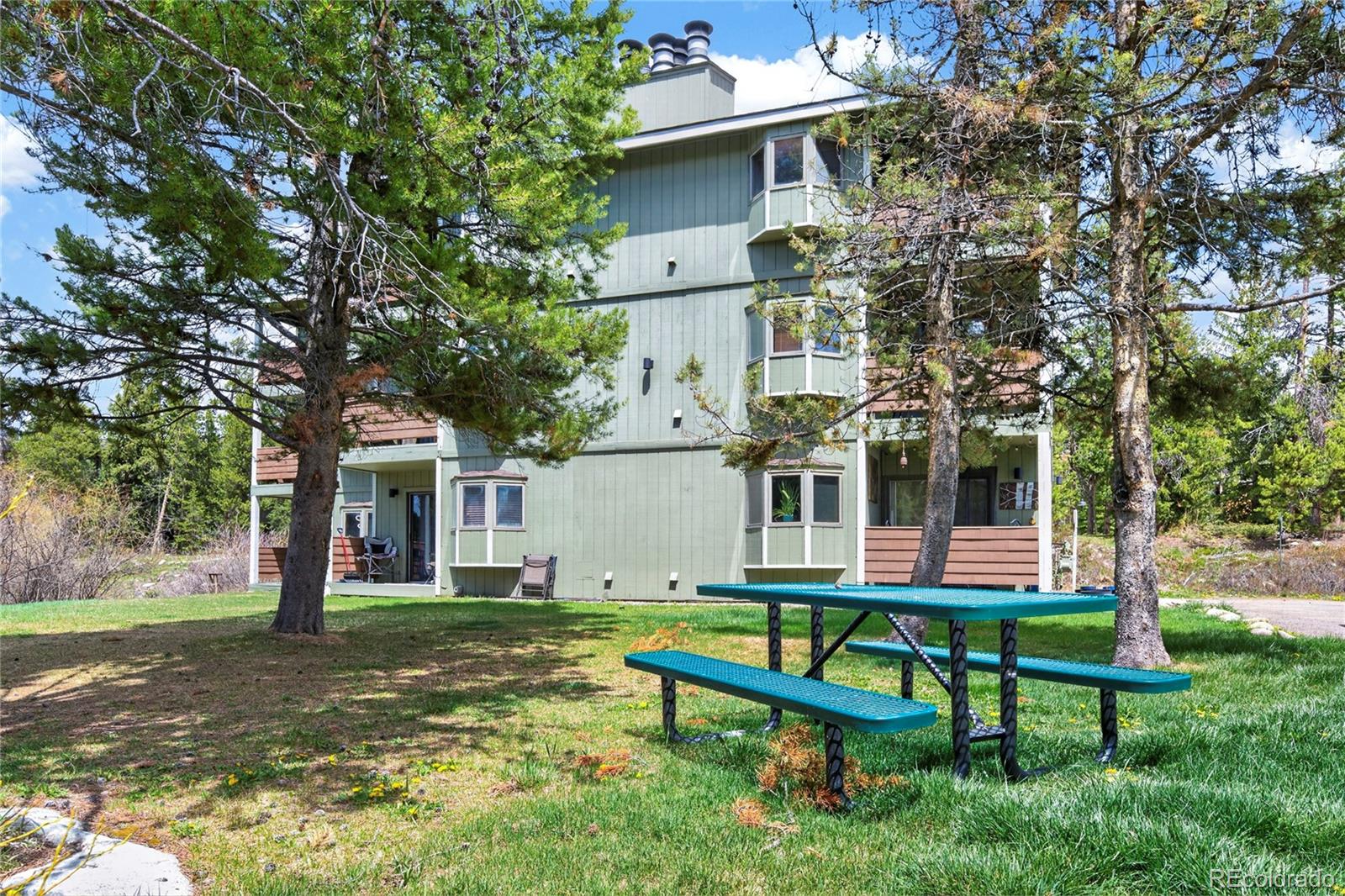 MLS Image #6 for 59  river drive,winter park, Colorado