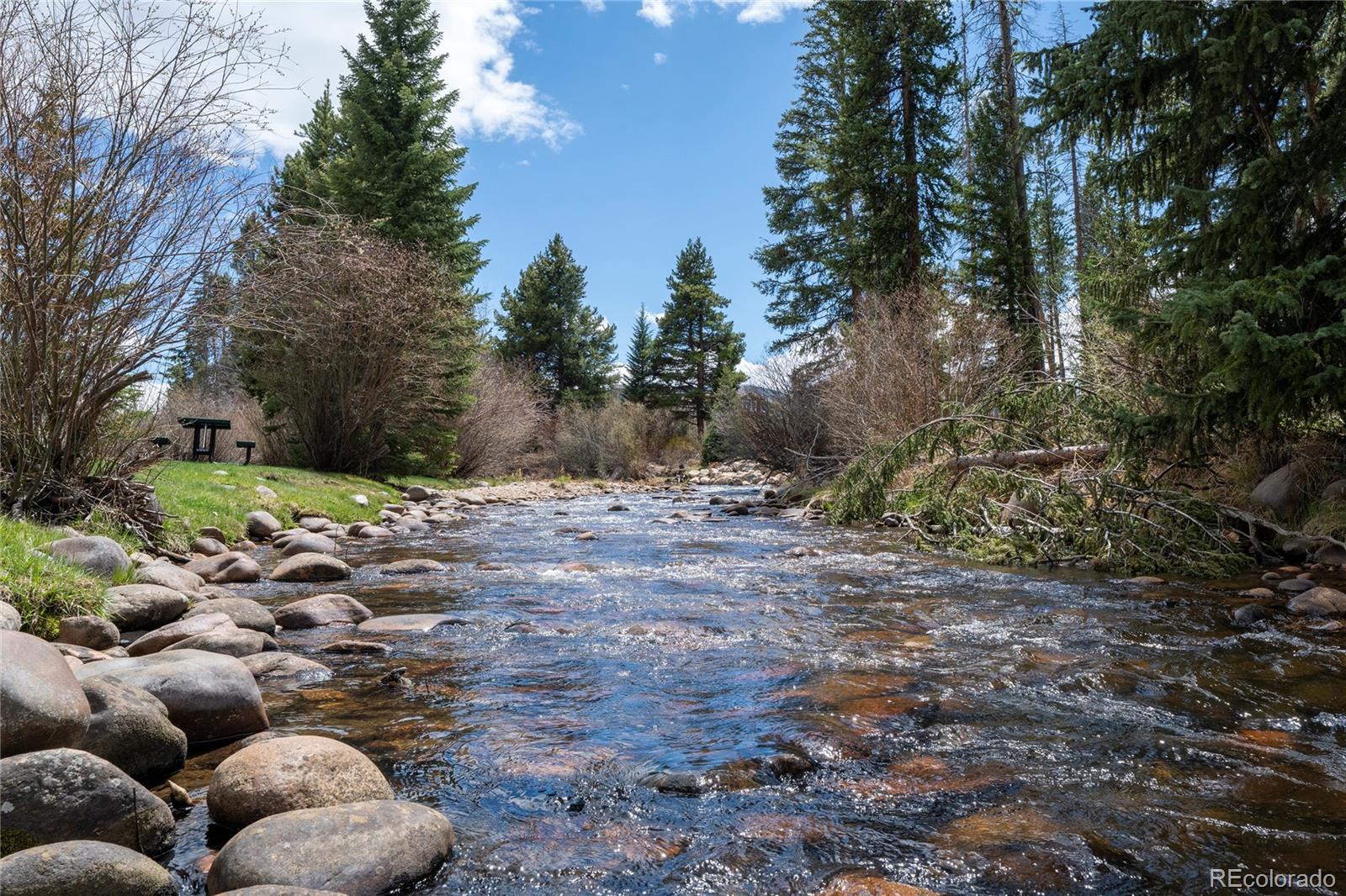 MLS Image #9 for 59  river drive,winter park, Colorado