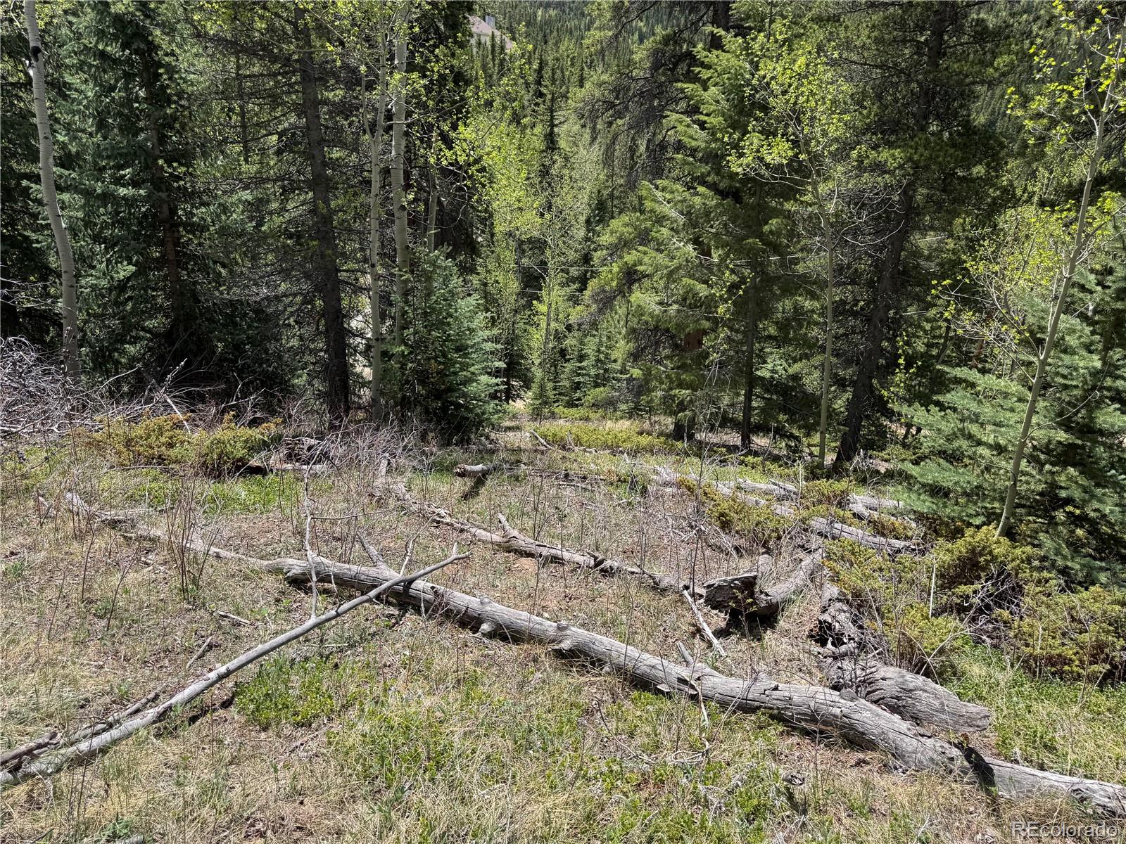 MLS Image #10 for 190  blue bell lane,idaho springs, Colorado