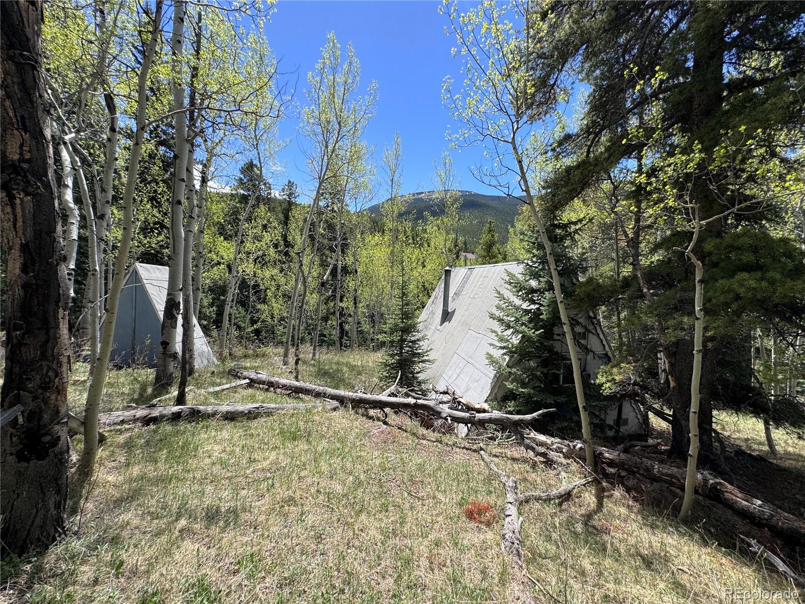 MLS Image #11 for 190  blue bell lane,idaho springs, Colorado