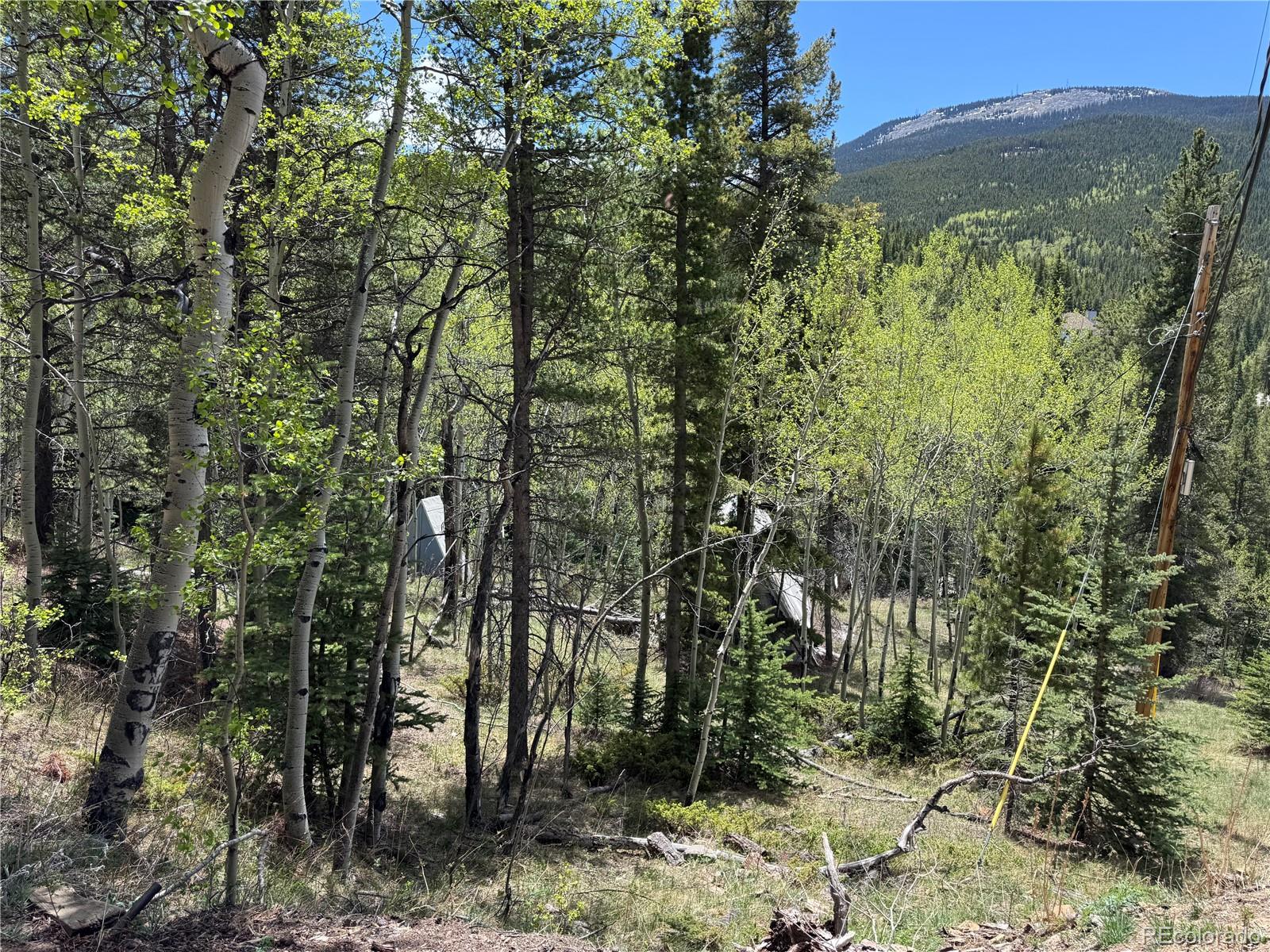 MLS Image #12 for 190  blue bell lane,idaho springs, Colorado