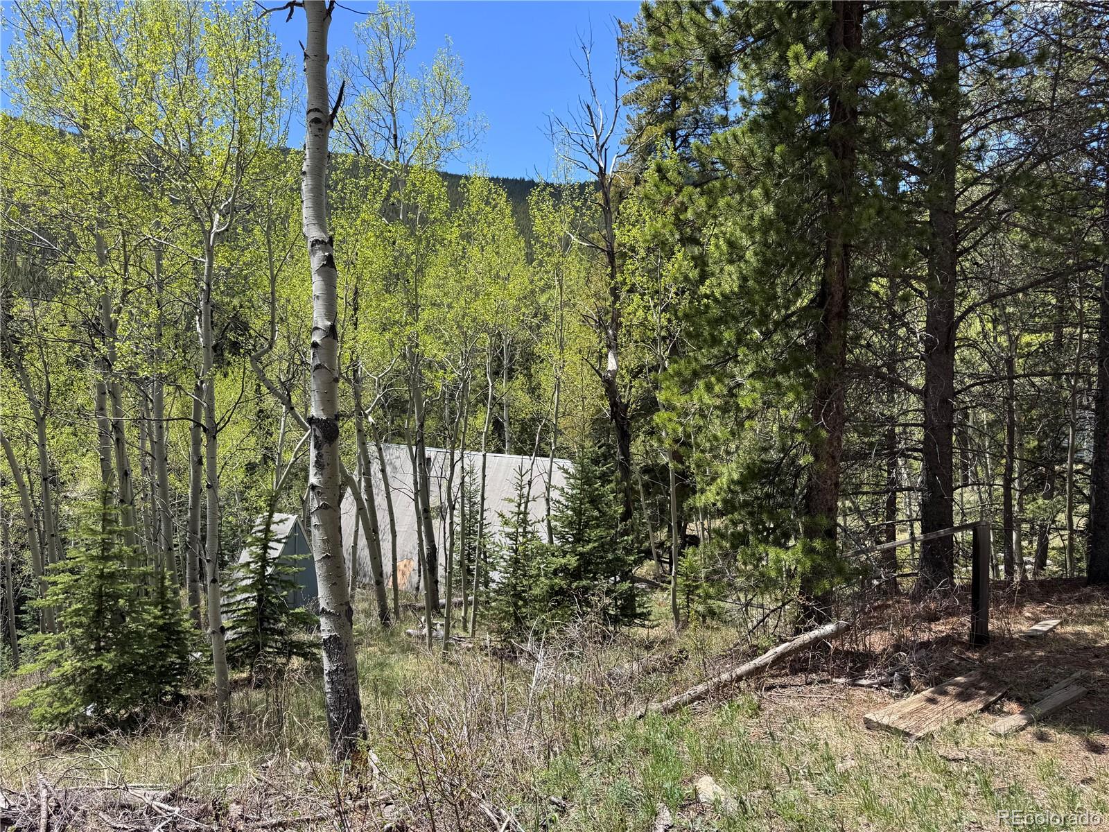 MLS Image #13 for 190  blue bell lane,idaho springs, Colorado