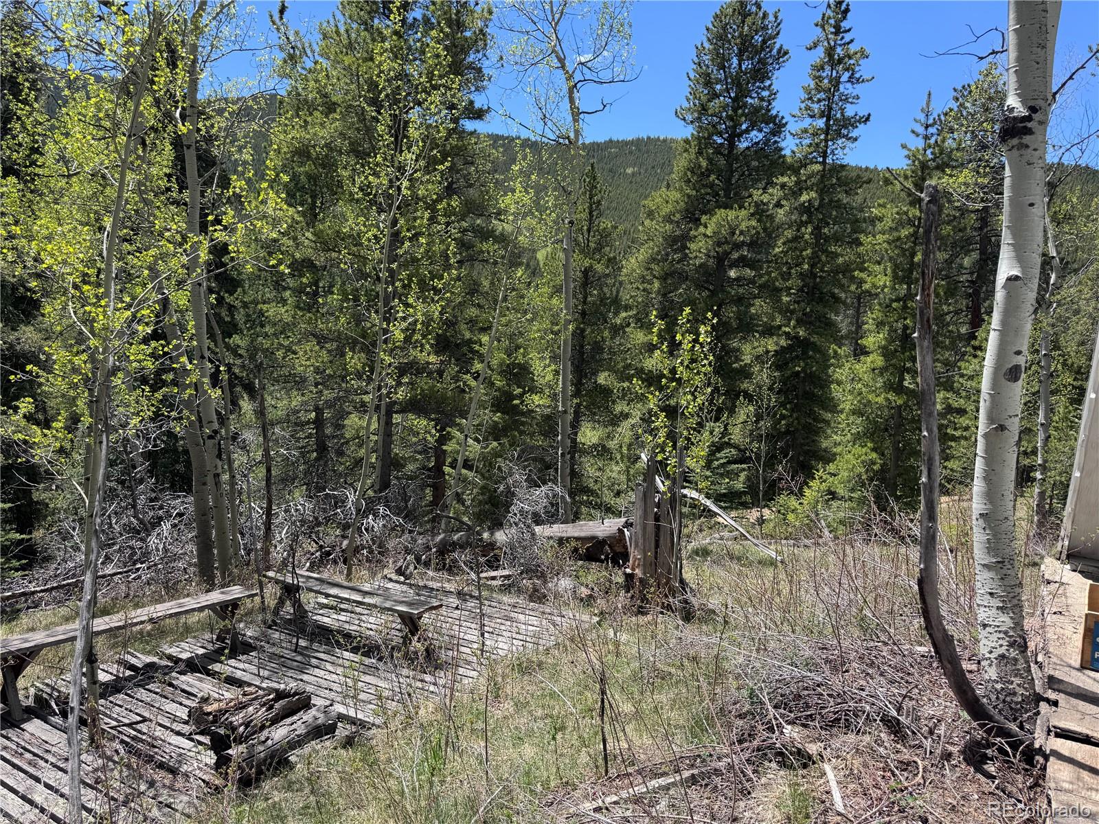 MLS Image #14 for 190  blue bell lane,idaho springs, Colorado