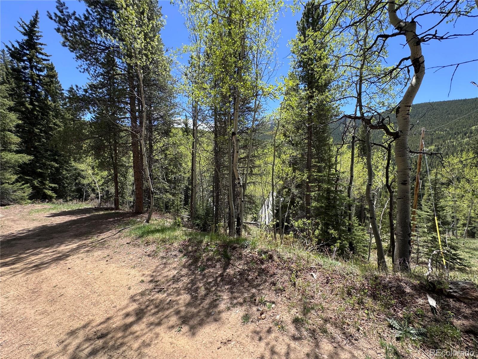 MLS Image #18 for 190  blue bell lane,idaho springs, Colorado