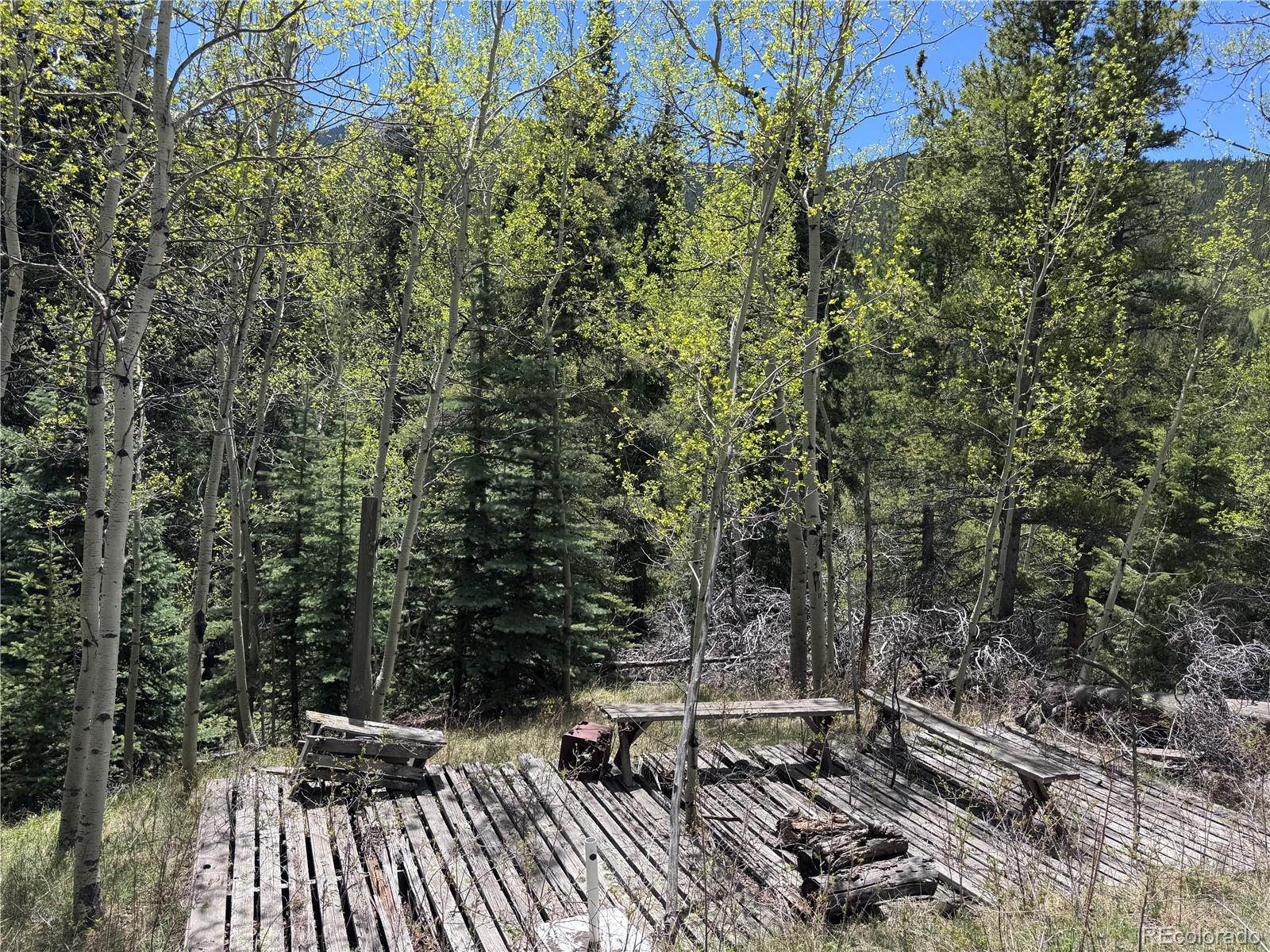 MLS Image #2 for 190  blue bell lane,idaho springs, Colorado