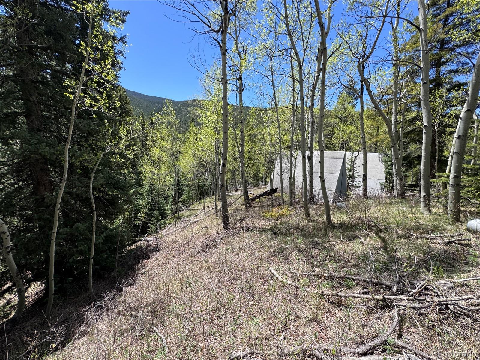 MLS Image #3 for 190  blue bell lane,idaho springs, Colorado