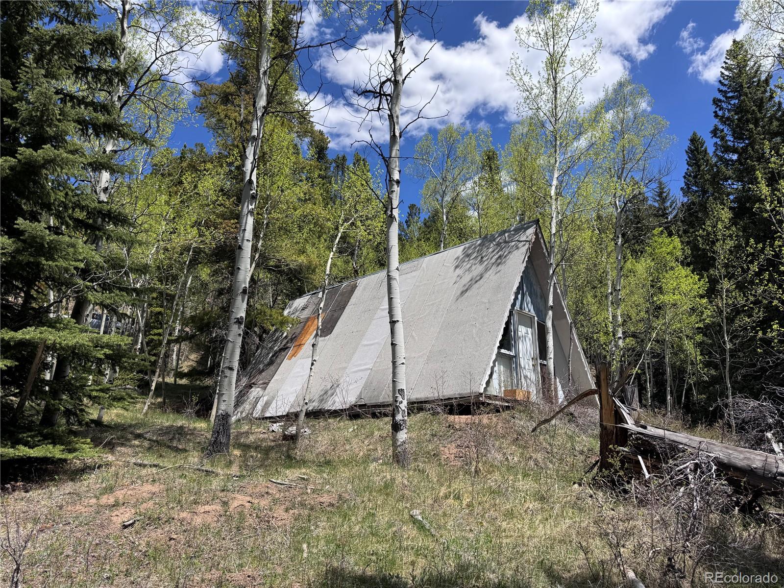 MLS Image #4 for 190  blue bell lane,idaho springs, Colorado