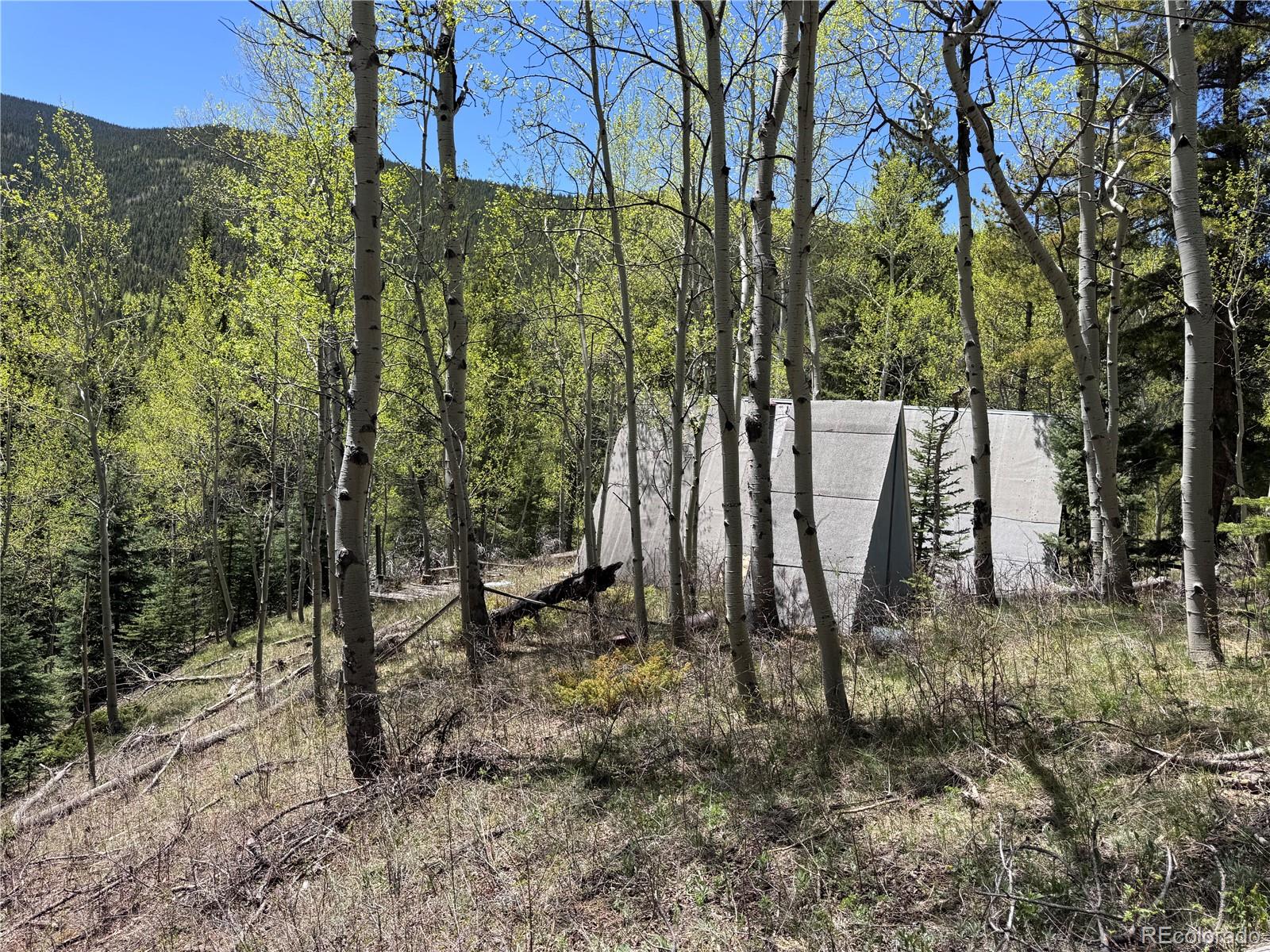 MLS Image #8 for 190  blue bell lane,idaho springs, Colorado