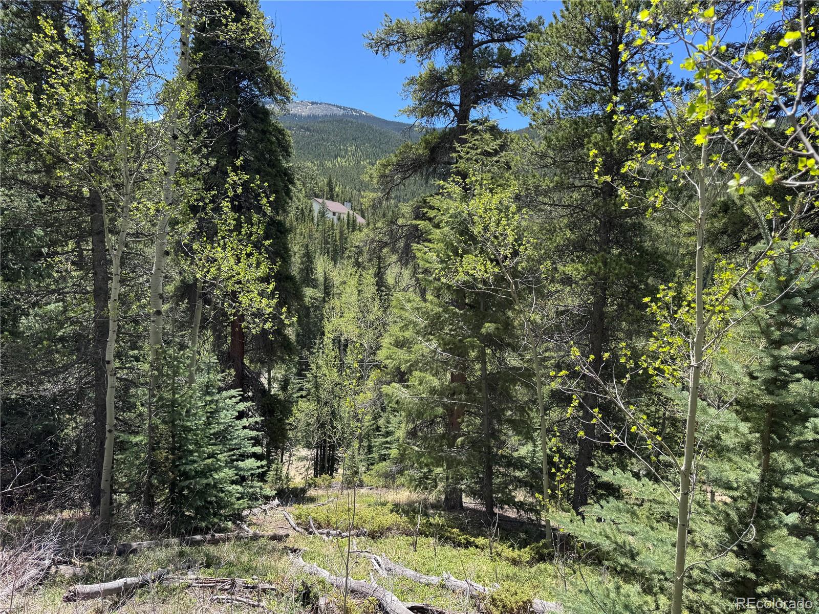 MLS Image #9 for 190  blue bell lane,idaho springs, Colorado