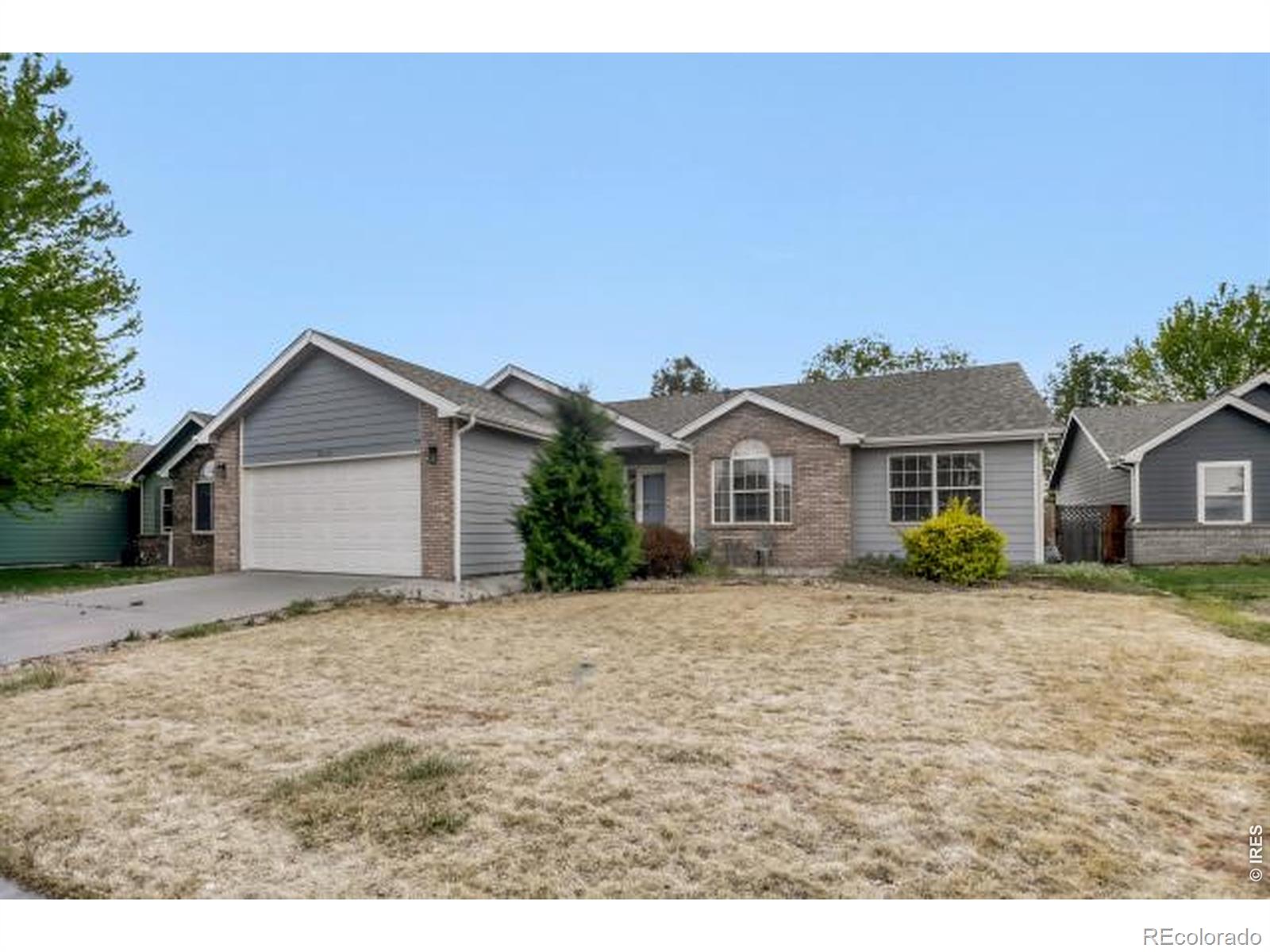 MLS Image #3 for 1012  basin court,windsor, Colorado