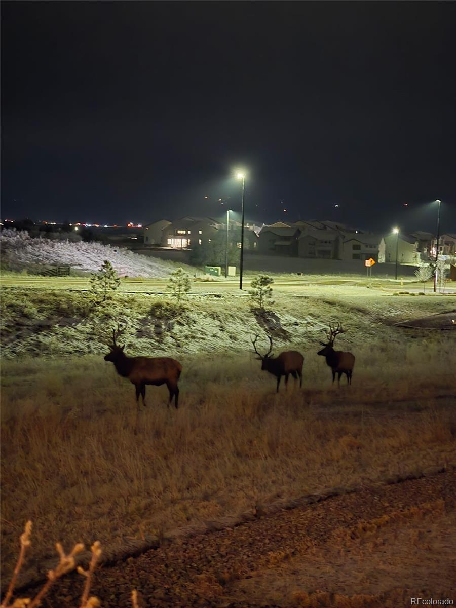 MLS Image #46 for 455  rogers way,castle rock, Colorado